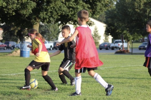 Bumblebee Soccer